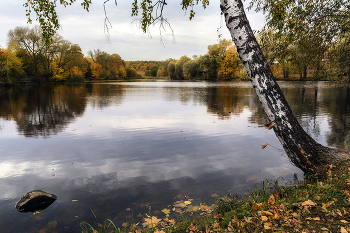 Осенние зарисовки. / Ясная Поляна, Тула