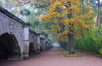 Осеннее утро / Екатеринский парк