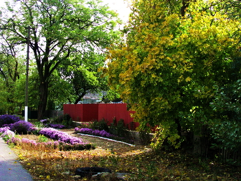 У дома / Осень, цветы,деревья,ограда