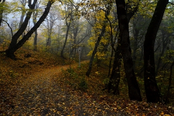 Дороги осенние....... / Железноводск. Октябрь