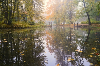 Осеннее утро / Александровский парк