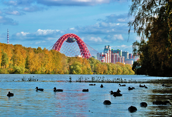 Москва, мост Живописный / Осенний вид с берега Москвы-реки
