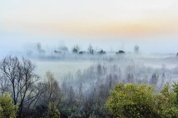Когда приходит туман.. / Утром осенним в октябре. Еще не пришел рассвет.. Краски осени до рассвета.Туман сильный утром в октябре. Едва видны очертания деревьев сквозь туман. Ландшафтная съемка с высокой точки тумана на местности..