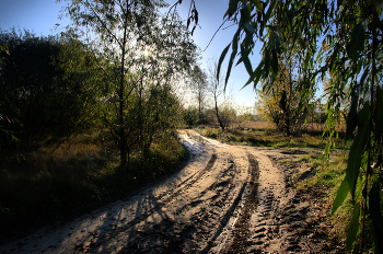 &nbsp; / Осень. Утро. Дорога
