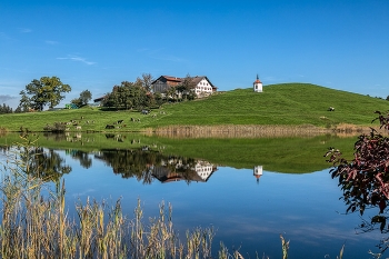 &nbsp; / Spiegelung im Hergardsriedersee