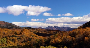 Осенний день / Осенним теплым рабочим днём, после геологических изысканий по средине Камчатского Хребта, 
остановившись, насладиться моментом, как 
зовёт и манит к себе даль, в горы и к облакам в небеса.