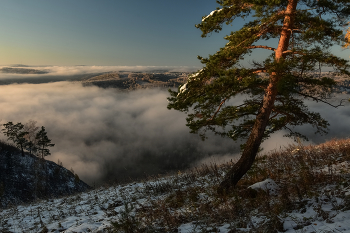 Туманное утро на Катунских утёсов / Кузбасс, Таштагольский район