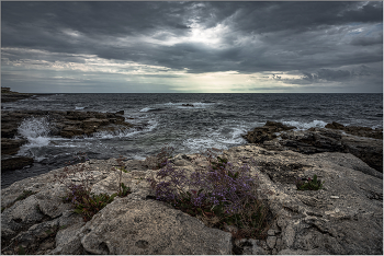 Жизнь / Крым