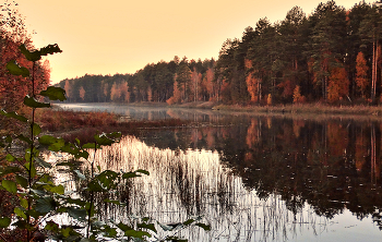 Осенний туман ползёт по озеру / Осенний туман ползёт по озеру