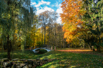 Осень в старом парке / Несвиж