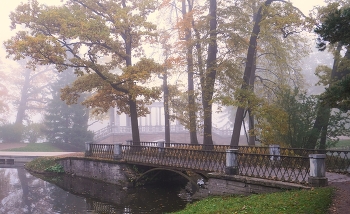 Осеннее утро / Екатерининский парк