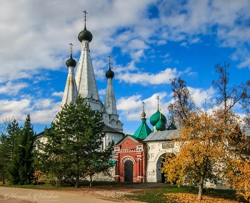 Алексеевский женский монастырь в Угличе. / ***