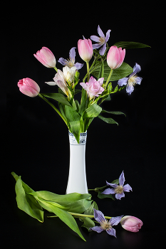 Дуновение весны / Натюрморт - в вазе тюльпаны и фрезии