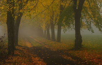 Туманное утро / Осень