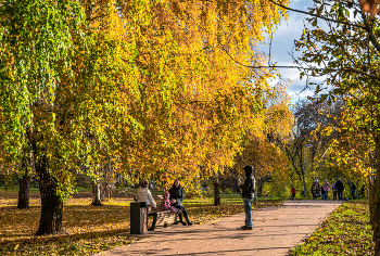 люблю я пышное природы увяданье... / октябрь, парк, Москва