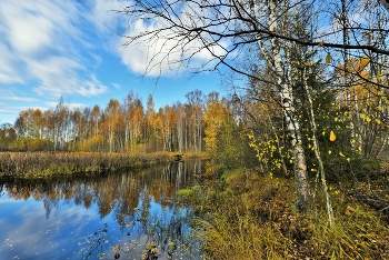 В последних числах октября ... / Осенний этюд ...