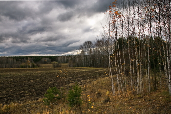 Осенним днём. / Томская область.