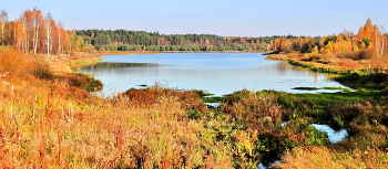 Осенние краски вокруг озера / Осенние краски вокруг озера