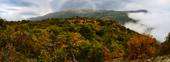 Осень на склонах Бабуган-Яйлы / Крым. Парагильмен