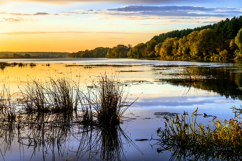 Осень на Истоке. / Осень на Истоке.