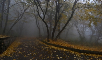 Утро туманное..... / Железноводск. Октябрь