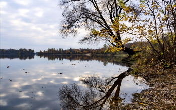 Лист Осенний на воде... / Октябрь 2022