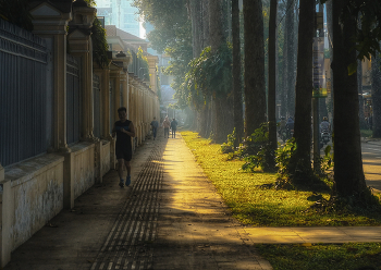 Утро в Хошимине (Сайгон) / Во Вьетнаме утро начинается с зарядки.... При чём, даже очень пожилые люди в парках делают физические упражнения уже в шесть утра