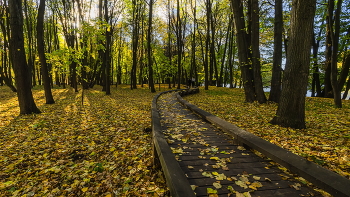 Прогулка в погожий день / Остров птиц. Комсомольское озеро. Река Свислочь. Парк Победы. Минск. Беларусь.