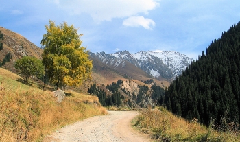 Осень из архива / Алматы ремейк