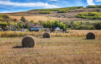 Осень в румынских Карпатах (14) / ***
