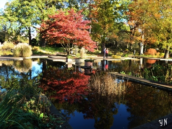 Planten un Blomen Hamburg / Парк цветов (Planten un Blomen Hamburg) - общественный парк Гамбурга, одно из любимых мест отдыха горожан и туристов. Великолепие деревьев и цветов, интересный ландшафт, поющие фонтаны, восхитительный розарий, открытая сцена для концертов, кафе! Птицы и белочки - обитатели парка. В 2020 году парк отмечал юбилей 200 лет. Слайд-шоу парка в разные времена года:

https://www.youtube.com/watch?v=rC5fOQuG-qg

https://www.youtube.com/watch?v=KTC7lcq_V6g

https://www.youtube.com/watch?v=tKJmmXxh-1U

https://www.youtube.com/watch?v=glVWjqRqZr0