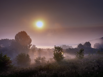 Туман / Туман