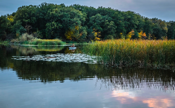 По озеру вечерняя прогулка. / ...