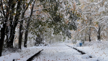 Снежное утро.... / Железноводск. Ноябрь