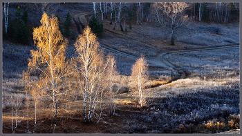Утром морозным осени поздней / Осенний этюд. Поздняя осень. Южный Урал