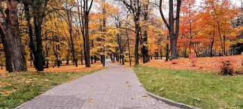 ОСЕННЕЕ НАСТРОЕНИЕ / В парке осень золотая,
Лист ложится на траву.
Я иду чуть приминая,
Облетевшую листву....

Беларусь