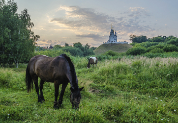 Епифань. Одно утро июля / Россия. Тульская область. Кимовский район. Епифань.