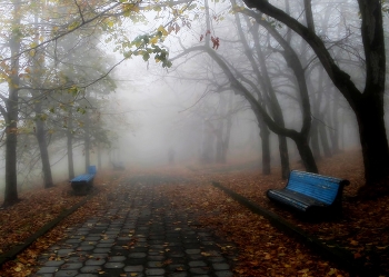 В аллее туманной...... / Железноводск. Октябрь