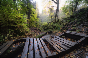 Лесными тропами / Гузерипль, на высоте 1800 м.