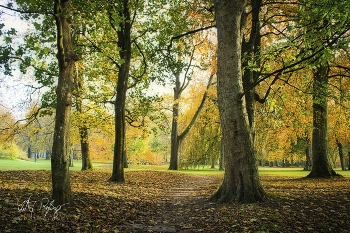  / Ein Bild vom herbstlichen Park