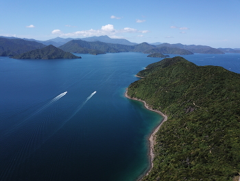 &nbsp; / New Zealand, Picton