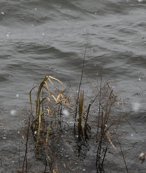 осенний снег / _____