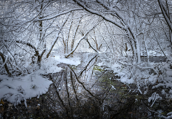 Первый снег / Разлив реки Короча. 
Корочанский район. Ноябрь, 2022 года.
Из фотопроекта &quot;Земля Белгородская».