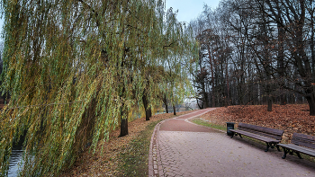 В осеннем парке... / ***