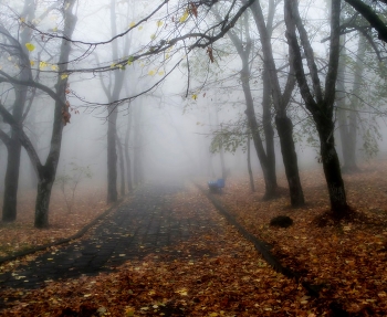 В тумане утреннем...... / Железноводск. Октябрь