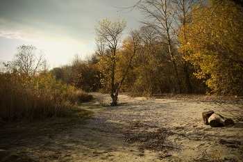 Старая Осень / Старая осень брови нахмурила:
 В рощах затих листопад…
 Да и трава на полях грязно – бурая.
 Скоро зима. Снегопад.
 Землю покроет перина пушистая.
 Теплая. Ясно без слов.
Стразами снег засверкает искристыми.
 Будет им новый покров.
 Люди умны – не боятся морозов.
 Хватит пуховиков.
 Если в разлуке душою замерзнут,
 Пусть их согреет любовь.
 (Светлана Фотиния Синькова)