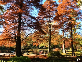 Осень в парке цветов / Парк цветов (Planten un Blomen Hamburg) - общественный парк Гамбурга, одно из любимых мест отдыха горожан и туристов. Великолепие деревьев и цветов, интересный ландшафт, поющие фонтаны, восхитительный розарий, открытая сцена для концертов, кафе! Птицы и белочки - обитатели парка. В 2020 году парк отмечал юбилей 200 лет. Слайд-шоу парка в разные времена года:

https://www.youtube.com/watch?v=rC5fOQuG-qg

https://www.youtube.com/watch?v=KTC7lcq_V6g

https://www.youtube.com/watch?v=tKJmmXxh-1U

https://www.youtube.com/watch?v=glVWjqRqZr0