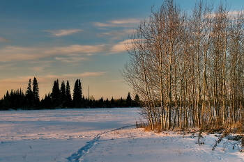 *Ноябрьским вечером.** / Томская область.