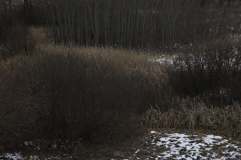 &nbsp; / ноябрь