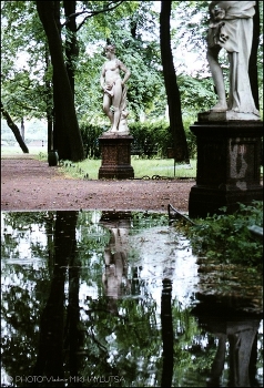 Прежний Летний сад после дождя. 2001г / Санкт-Петербург. Цв. фотография. &quot;Мокрая&quot; печать. 45х30 см